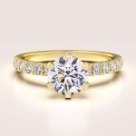 Bague de fiançailles avec moissanite 1 ct – Halo: Terra or 585